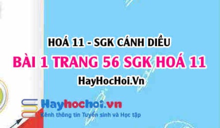 Bài 1 trang 56 SGK Hoá 11 Cánh diều